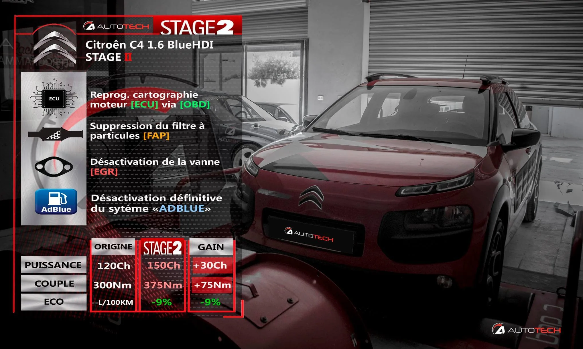 Intervention AUTOTECH — AdBlue OFF / SCR (5)